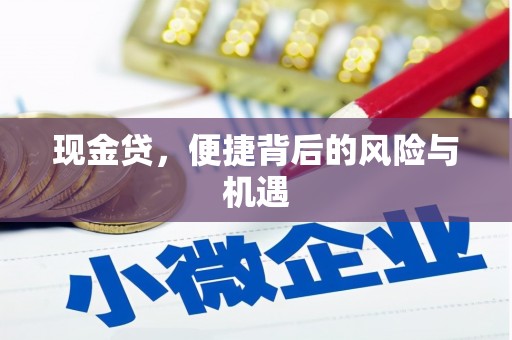 阿拉山口现金贷，便捷背后的风险与机遇