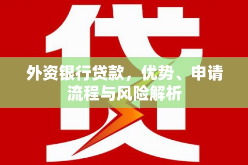 阿拉山口外资银行贷款，优势、申请流程与风险解析