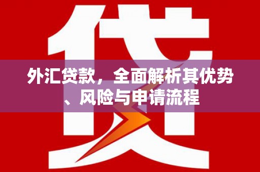 阿拉山口外汇贷款，全面解析其优势、风险与申请流程