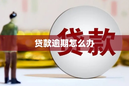 阿拉山口贷款逾期怎么办