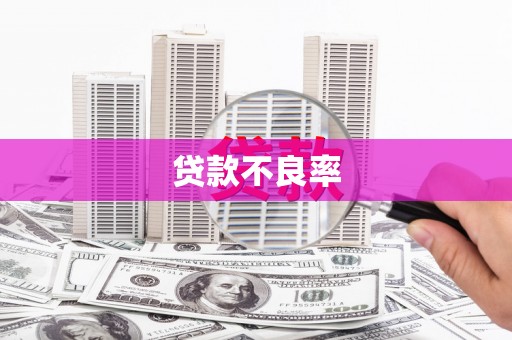 阿拉山口贷款不良率
