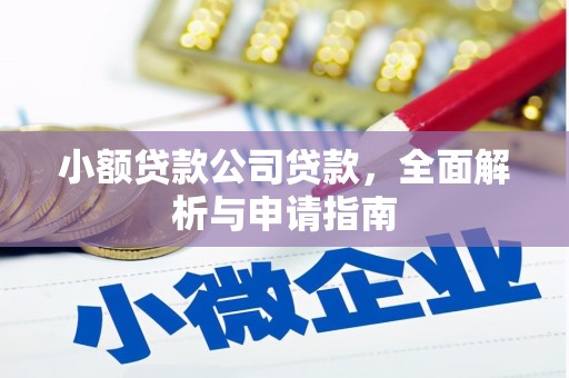 阿拉山口小额贷款公司贷款，全面解析与申请指南