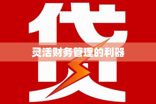 阿拉山口灵活财务管理的利器