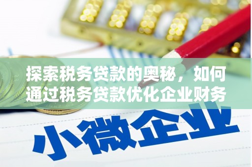 阿拉山口探索税务贷款的奥秘，如何通过税务贷款优化企业财务