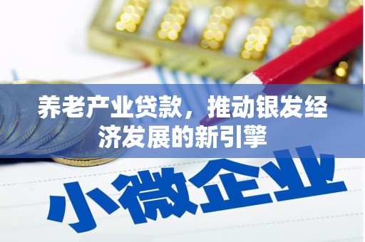 阿拉山口养老产业贷款，推动银发经济发展的新引擎