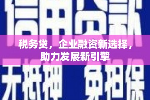 阿拉山口税务贷，企业融资新选择，助力发展新引擎