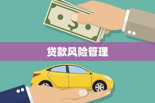 阿拉山口贷款风险管理