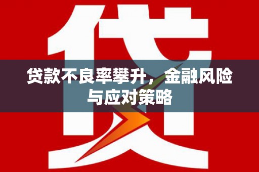 阿拉山口贷款不良率攀升，金融风险与应对策略