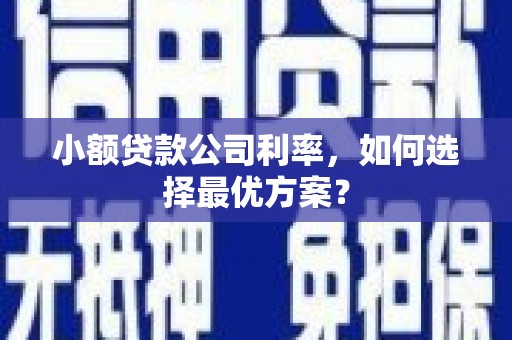 阿拉山口小额贷款公司利率，如何选择最优方案？