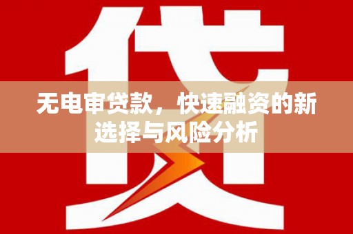 阿拉山口无电审贷款，快速融资的新选择与风险分析