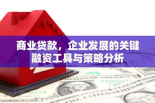 阿拉山口商业贷款，企业发展的关键融资工具与策略分析