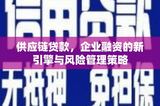 阿拉山口供应链贷款，企业融资的新引擎与风险管理策略