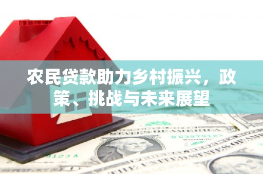 阿拉山口农民贷款助力乡村振兴，政策、挑战与未来展望
