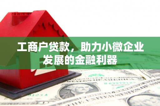 阿拉山口工商户贷款，助力小微企业发展的金融利器