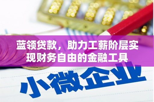 阿拉山口蓝领贷款，助力工薪阶层实现财务自由的金融工具