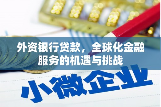 阿拉山口外资银行贷款，全球化金融服务的机遇与挑战
