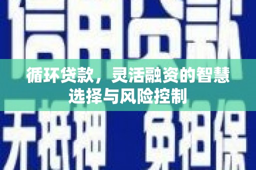 阿拉山口循环贷款，灵活融资的智慧选择与风险控制