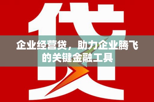 阿拉山口企业经营贷，助力企业腾飞的关键金融工具