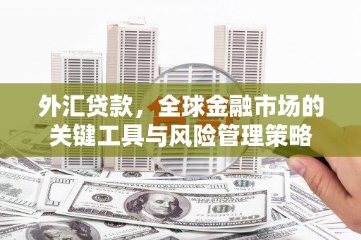 阿拉山口外汇贷款，全球金融市场的关键工具与风险管理策略
