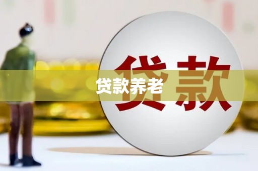 阿拉山口贷款养老