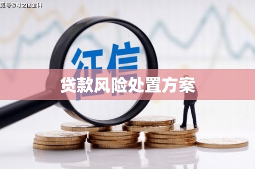 阿拉山口贷款风险处置方案
