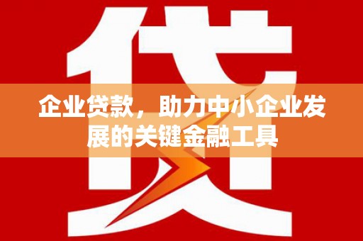 阿拉山口企业贷款，助力中小企业发展的关键金融工具