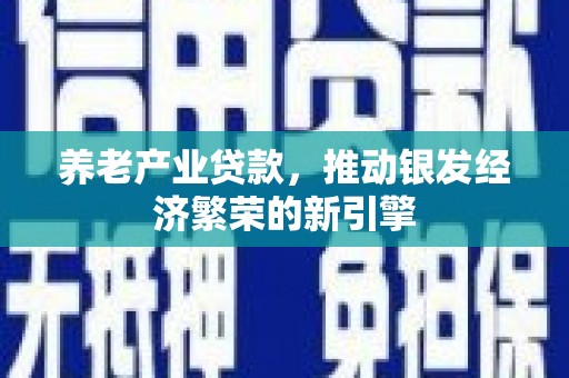 阿拉山口养老产业贷款，推动银发经济繁荣的新引擎