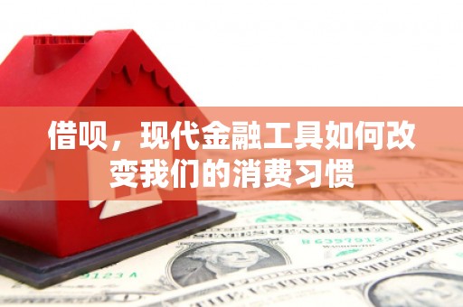 阿拉山口借呗，现代金融工具如何改变我们的消费习惯
