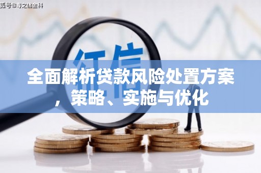 阿拉山口全面解析贷款风险处置方案，策略、实施与优化