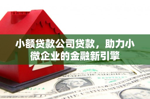阿拉山口小额贷款公司贷款，助力小微企业的金融新引擎