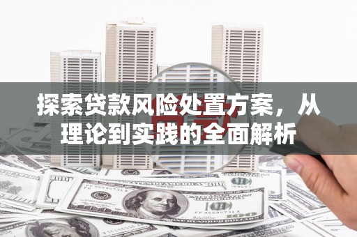 阿拉山口探索贷款风险处置方案，从理论到实践的全面解析