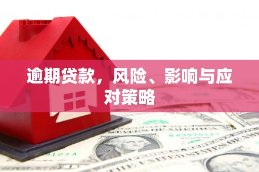 阿拉山口逾期贷款，风险、影响与应对策略