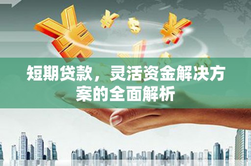 阿拉山口短期贷款，灵活资金解决方案的全面解析
