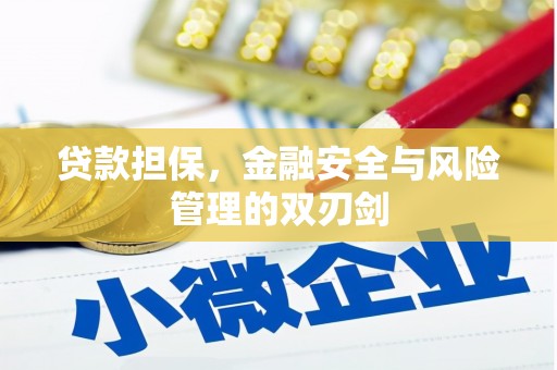 阿拉山口贷款担保，金融安全与风险管理的双刃剑