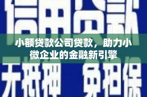 阿拉山口小额贷款公司贷款，助力小微企业的金融新引擎