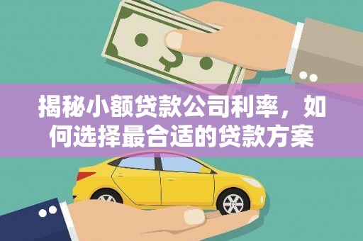 阿拉山口揭秘小额贷款公司利率，如何选择最合适的贷款方案