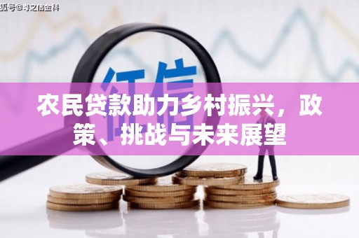 阿拉山口农民贷款助力乡村振兴，政策、挑战与未来展望