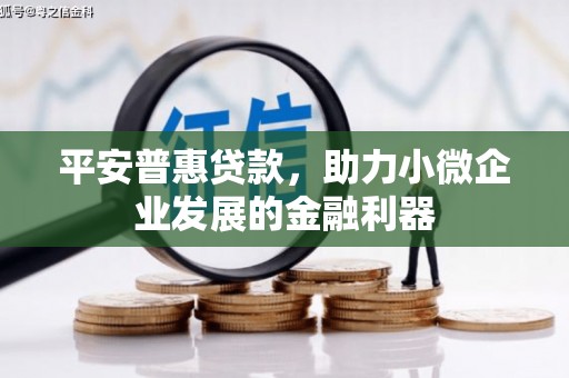 阿拉山口平安普惠贷款，助力小微企业发展的金融利器