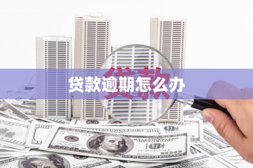 阿拉山口贷款逾期怎么办