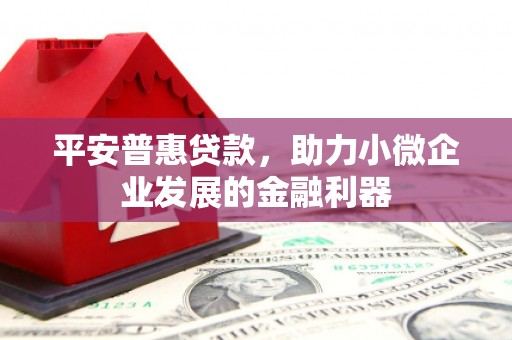 阿拉山口平安普惠贷款，助力小微企业发展的金融利器