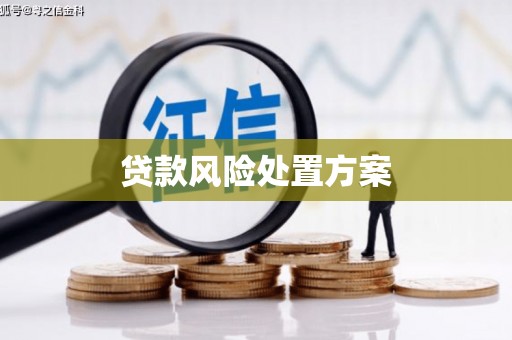 阿拉山口贷款风险处置方案