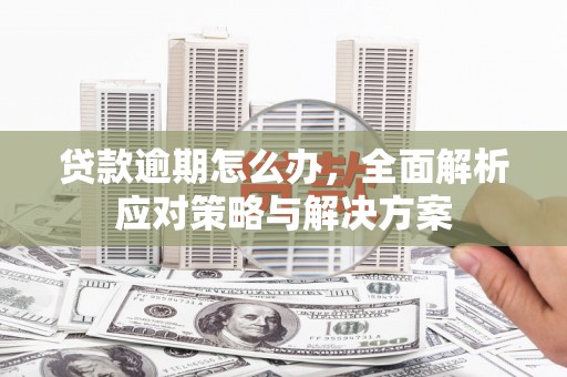 阿拉山口贷款逾期怎么办，全面解析应对策略与解决方案