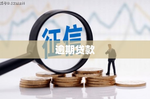 阿拉山口逾期贷款